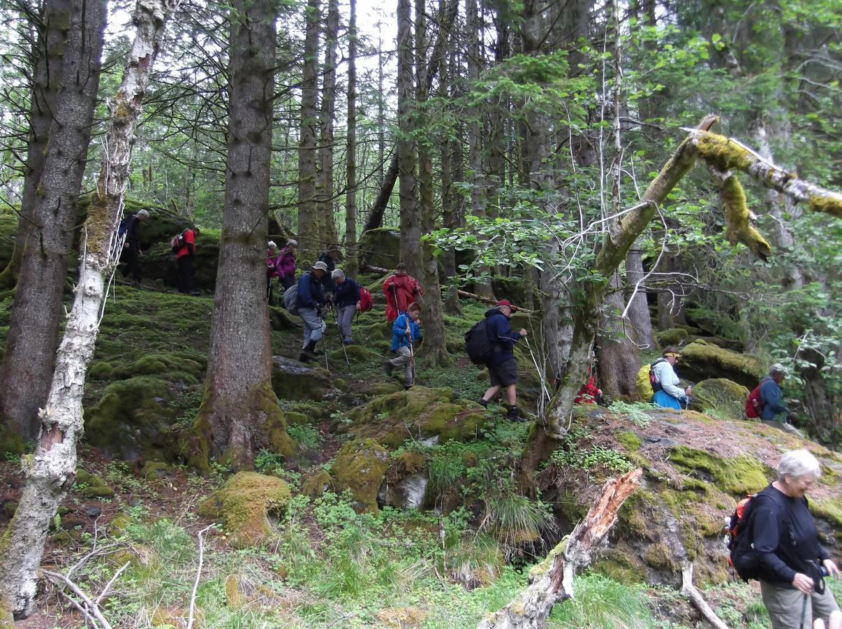Osa Hardanger Basecamp 호스텔 외부 사진